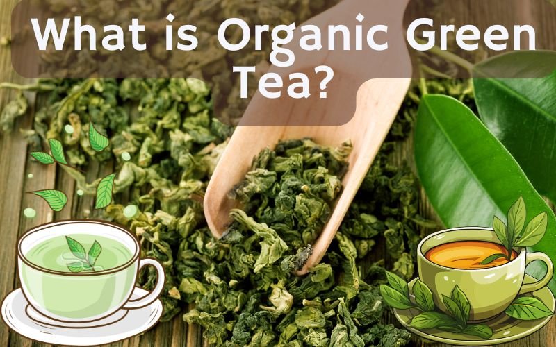 What is Organic Green Tea